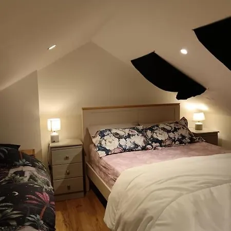 New Bright 4 Bedroom In Leafy South Dublin Lejlighed *